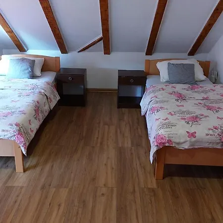 Apartament Alibasic *