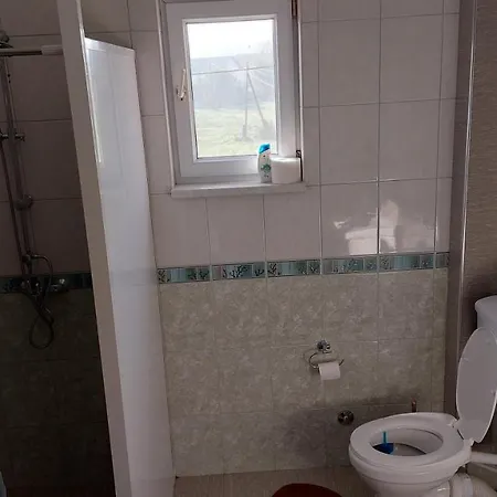 Apartament Alibasic *