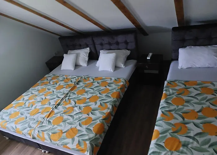 Apartment Alibasic *